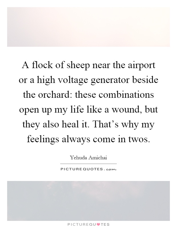 A flock of sheep near the airport or a high voltage generator beside the orchard: these combinations open up my life like a wound, but they also heal it. That’s why my feelings always come in twos Picture Quote #1