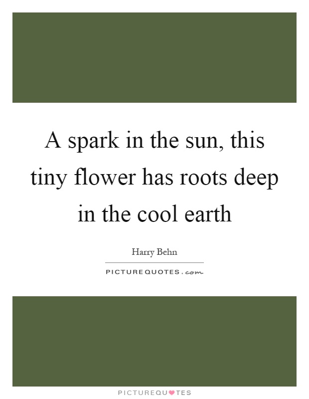 A spark in the sun, this tiny flower has roots deep in the cool earth Picture Quote #1