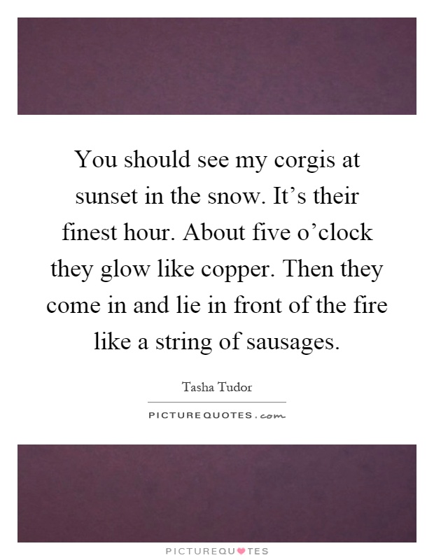You should see my corgis at sunset in the snow. It’s their finest hour. About five o’clock they glow like copper. Then they come in and lie in front of the fire like a string of sausages Picture Quote #1
