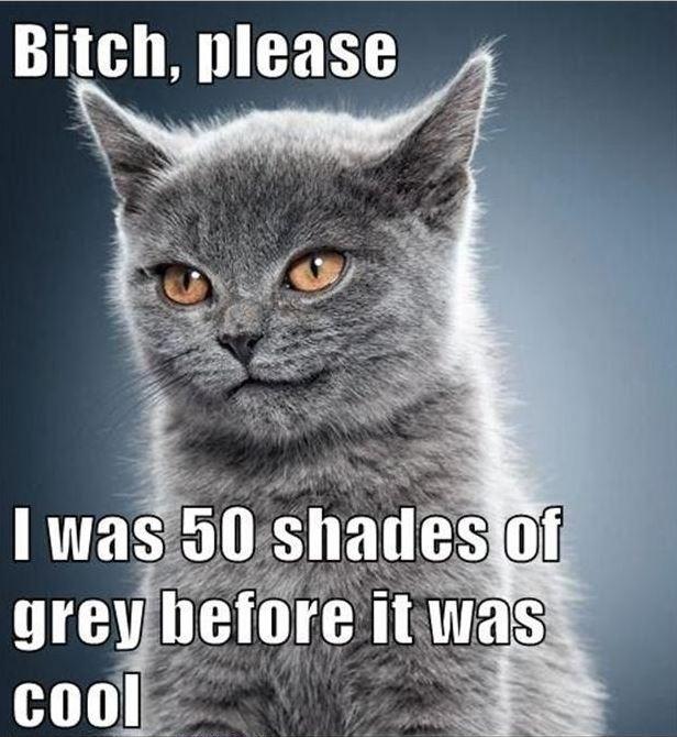 Bitch, please. I was 50 shades of grey before it was cool Picture Quote #1