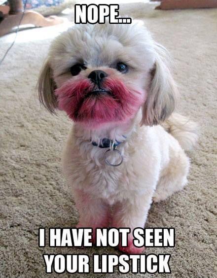 Nope, I have not seen your lipstick Picture Quote #1