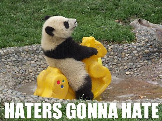 Haters gonna hate Picture Quote #3