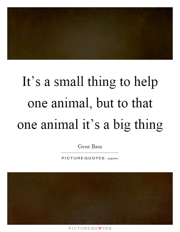 It's a small thing to help one animal, but to that one animal... | Picture  Quotes