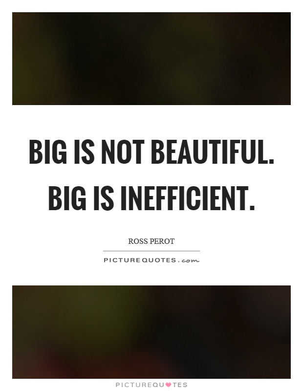 Big is not beautiful. Big is inefficient Picture Quote #1
