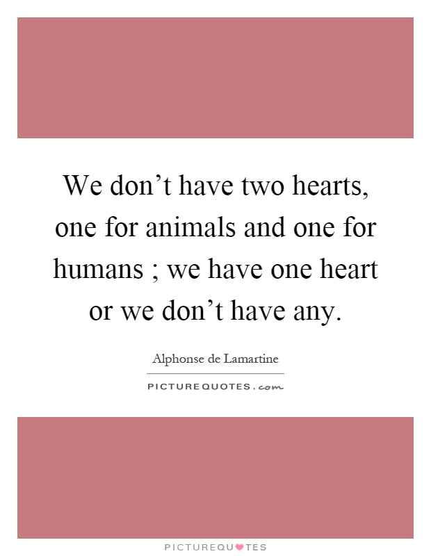 We don't have two hearts, one for animals and one for humans ;... | Picture  Quotes