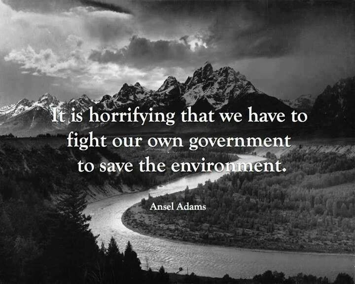 It is horrifying that we have to fight our own government to save the environment Picture Quote #1