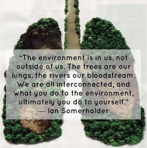 The environment is in us, not outside us. The trees are our lungs, the  rivers our bloodstream. We are all interconnected, and what you do to the environment, ultimately you do to yourself Picture Quote #1