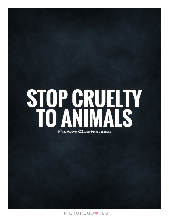 Stop cruelty to animals | Picture Quotes