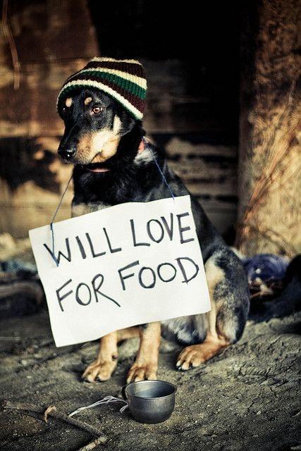 Will love for food Picture Quote #1