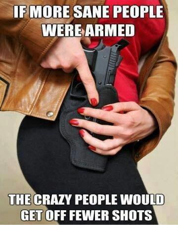 If more sane people were armed the crazy people would get off fewer shots Picture Quote #1