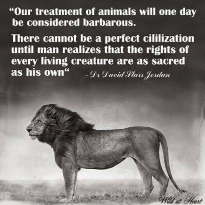 Our treatment of animals will one day be considered barbarous. There cannot be a perfect civilization until man realizes that the rights of every living creature are as sacred as his own Picture Quote #1