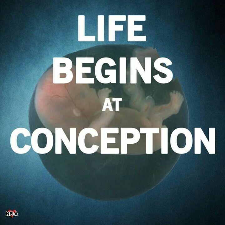Life begins at conception Picture Quote #1