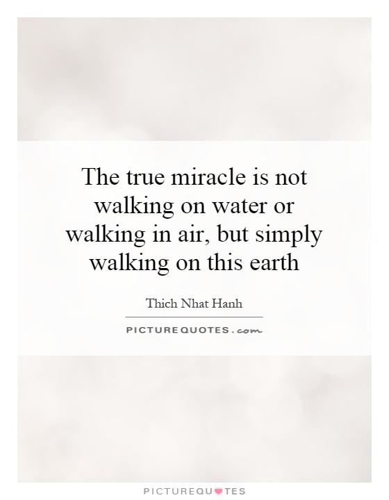 The true miracle is not walking on water or walking in air, but simply walking on this earth Picture Quote #1
