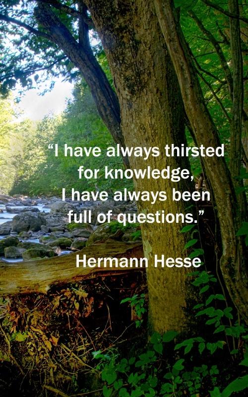 I have always thirsted for knowledge, I have always been full of questions Picture Quote #1