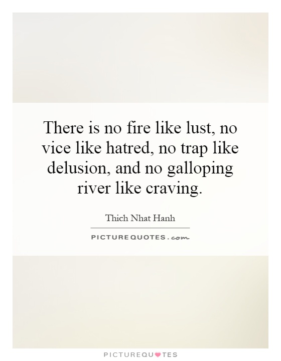 There is no fire like lust, no vice like hatred, no trap like delusion, and no galloping river like craving Picture Quote #1