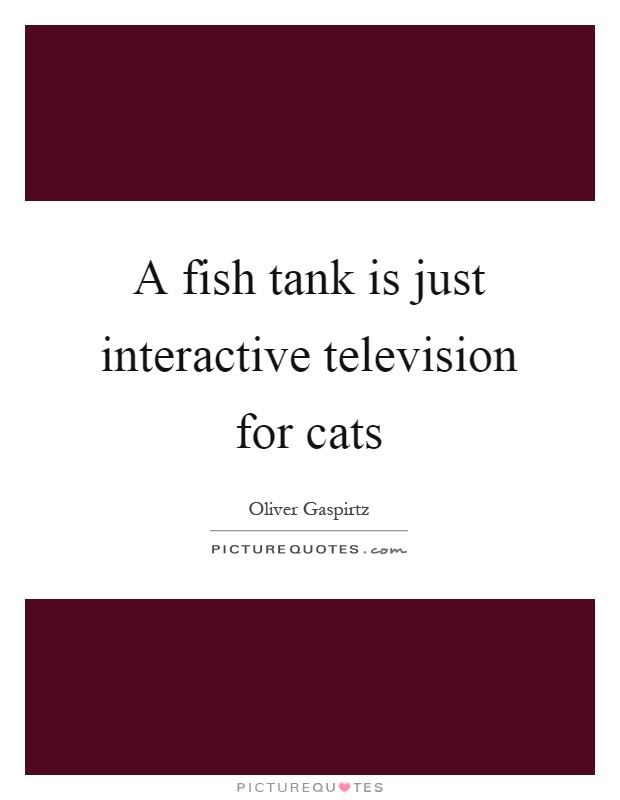 A fish tank is just interactive television for cats Picture Quote #1
