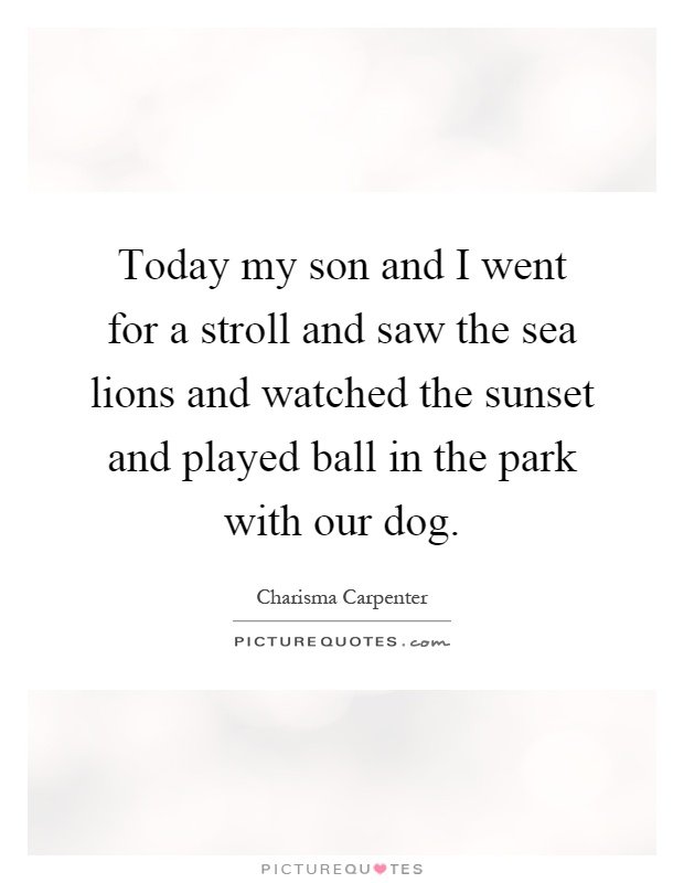 Today my son and I went for a stroll and saw the sea lions and watched the sunset and played ball in the park with our dog Picture Quote #1