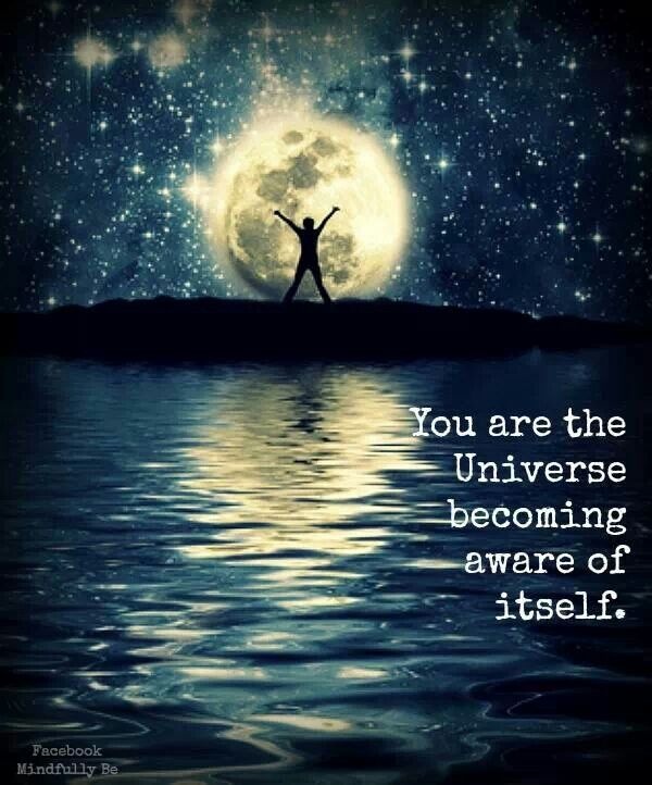You are the Universe becoming aware of itself Picture Quote #1