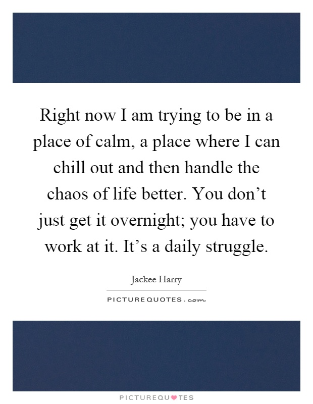 Right now I am trying to be in a place of calm, a place where I can chill out and then handle the chaos of life better. You don't just get it overnight; you have to work at it. It's a daily struggle Picture Quote #1