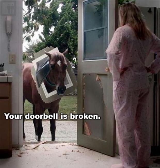Your doorbell is broken Picture Quote #1
