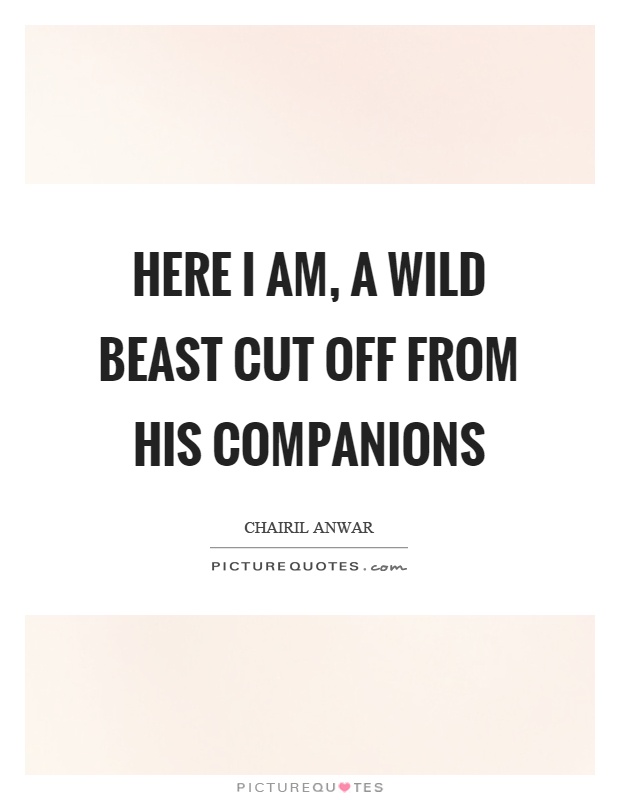 Here I am, a wild beast cut off from his companions Picture Quote #1