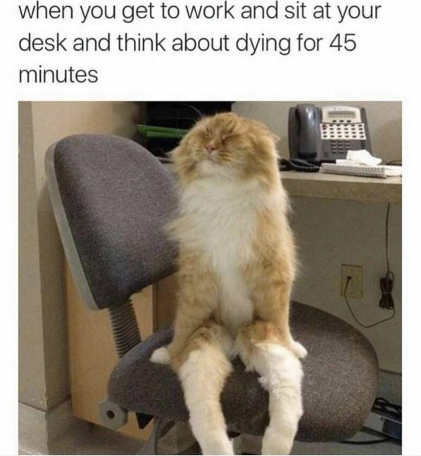 When you get to work and sit at your desk and think about dying for 45 minutes Picture Quote #1