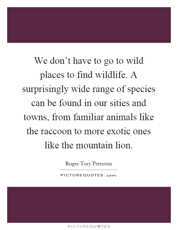 We don’t have to go to wild places to find wildlife. A surprisingly wide range of species can be found in our sities and towns, from familiar animals like the raccoon to more exotic ones like the mountain lion Picture Quote #1