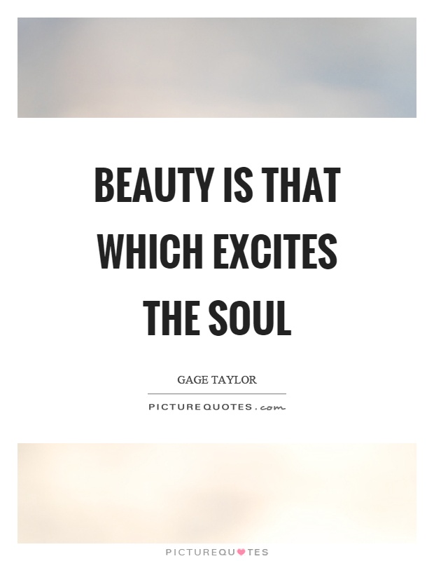 Beauty is that which excites the soul Picture Quote #1