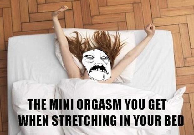 The mini orgasm you get when stretching in your bed Picture Quote #1