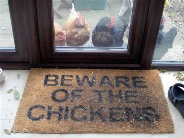 Beware of the chickens Picture Quote #1