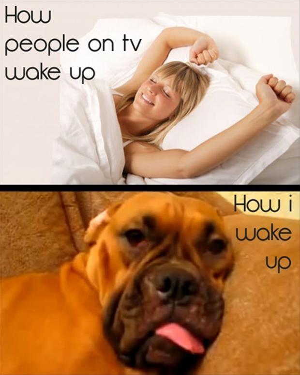 How people on TV wake up. How I wake up | Picture Quotes