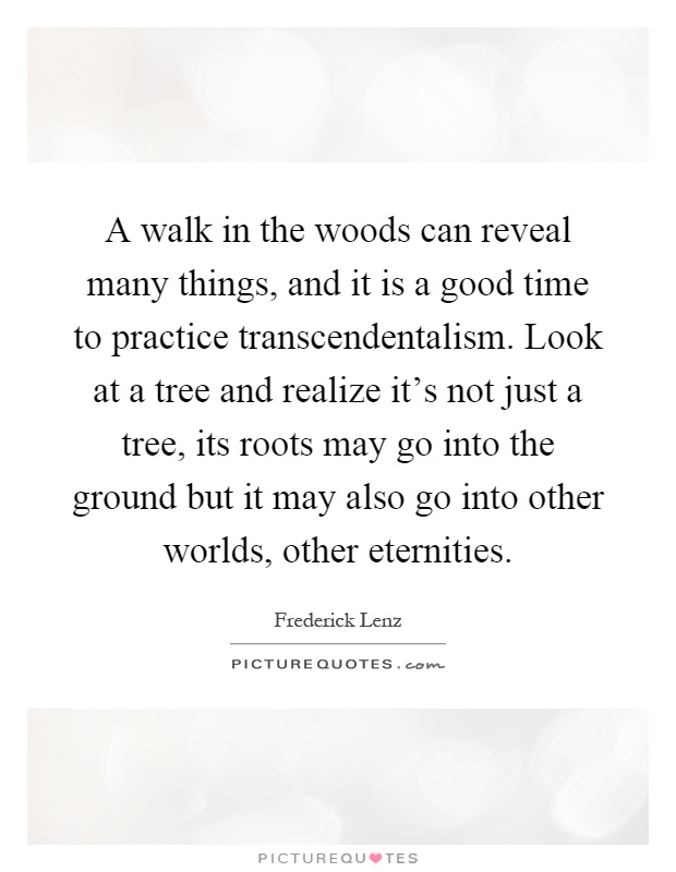 A walk in the woods can reveal many things, and it is a good time to practice transcendentalism. Look at a tree and realize it’s not just a tree, its roots may go into the ground but it may also go into other worlds, other eternities Picture Quote #1