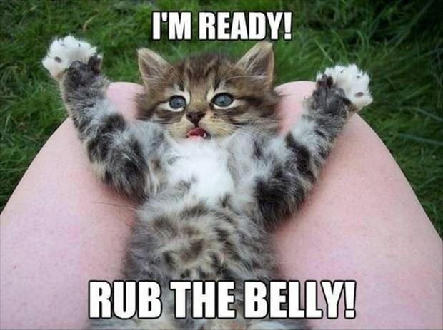 I’m ready! Rub the belly! Picture Quote #1