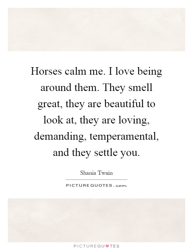 Horses calm me. I love being around them. They smell great, they are beautiful to look at, they are loving, demanding, temperamental, and they settle you Picture Quote #1
