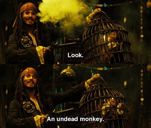 Look. an undead monkey Picture Quote #1