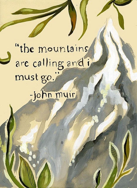 The mountains are calling and I must go Picture Quote #2