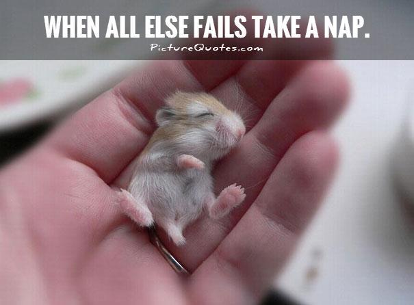 When all else fails take a nap Picture Quote #1