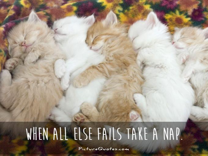 When all else fails take a nap Picture Quote #4