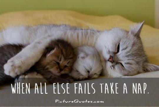 When all else fails take a nap | Picture Quotes