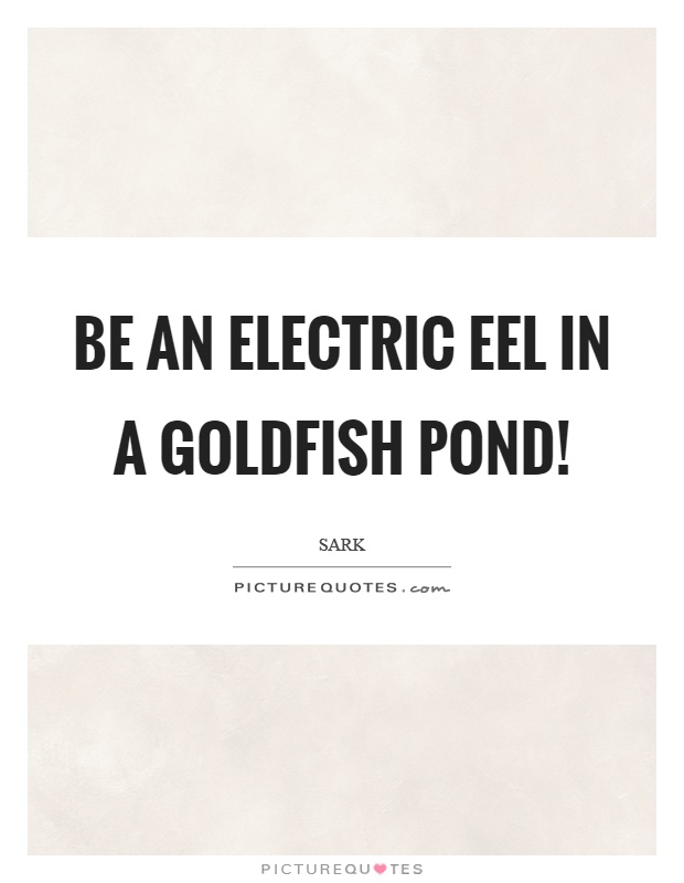 Be an electric eel in a goldfish pond! | Picture Quotes