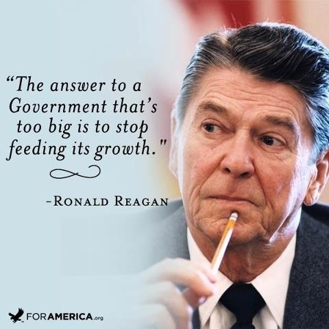 The answer to a government that’s too big is to stop feeding its growth Picture Quote #1