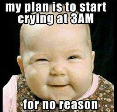 My plan is to start crying at 3am for no reason | Picture Quotes