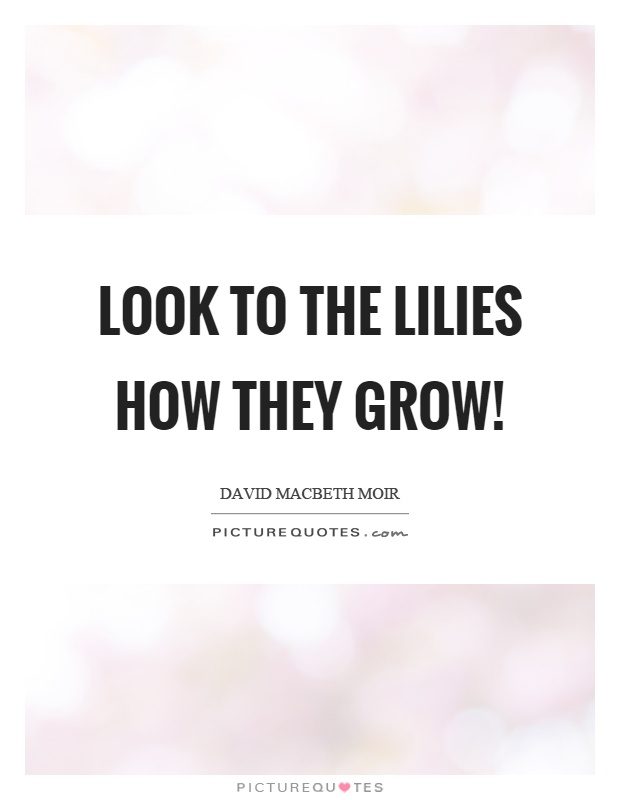 Look to the lilies how they grow! Picture Quote #1