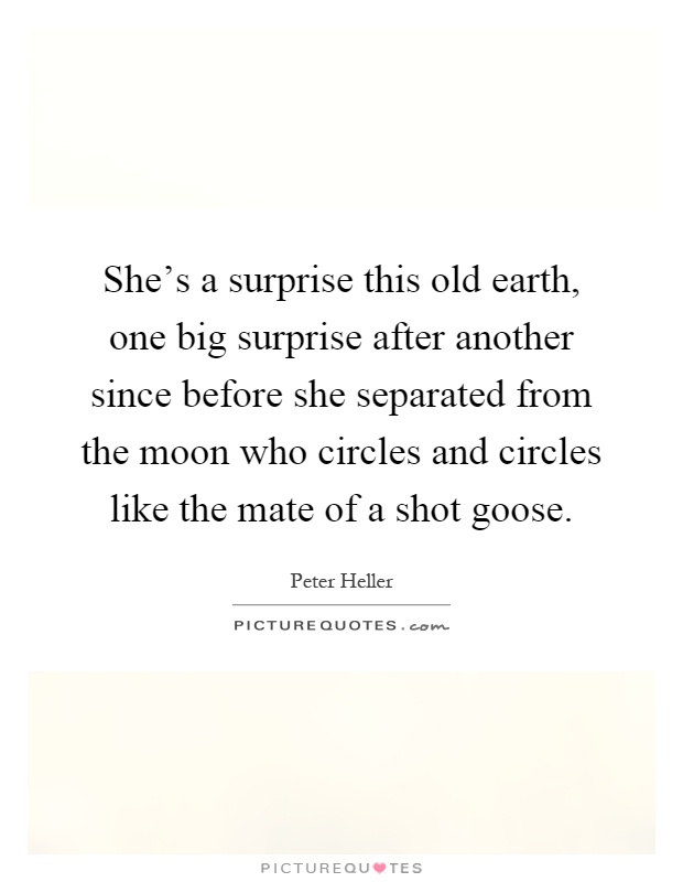 She's a surprise this old earth, one big surprise after another since before she separated from the moon who circles and circles like the mate of a shot goose Picture Quote #1