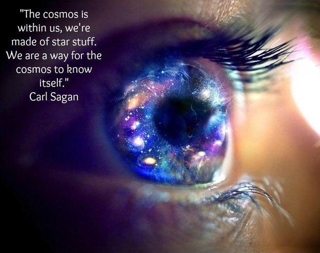 The cosmos is within us. We are made of star stuff. We are a way for the universe to know itself Picture Quote #1