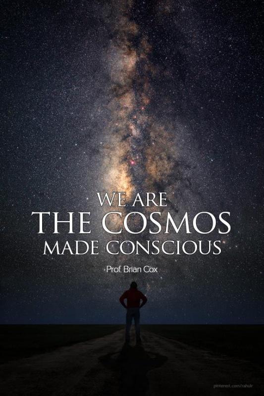 We are the cosmos made conscious and life is the means by which the universe understands itself Picture Quote #1