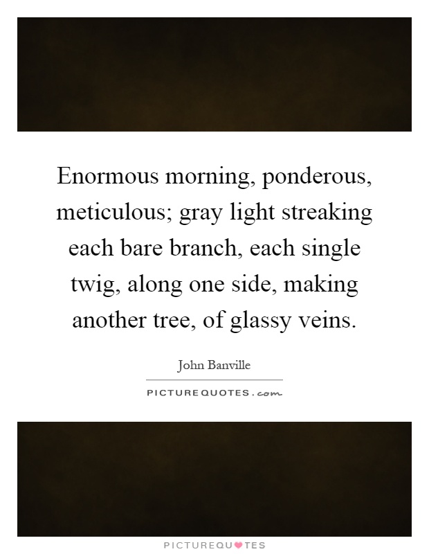 Enormous morning, ponderous, meticulous; gray light streaking each bare branch, each single twig, along one side, making another tree, of glassy veins Picture Quote #1