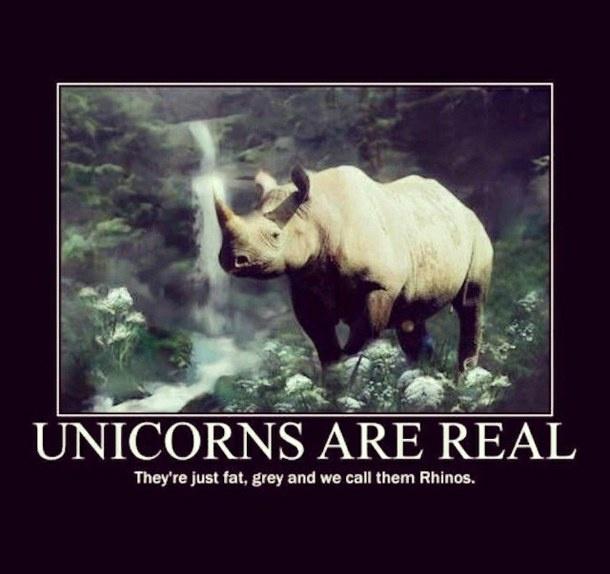 Unicorns are real. They’re just fat, grey and we call them rhinos Picture Quote #1