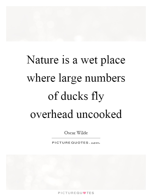 Nature is a wet place where large numbers of ducks fly overhead uncooked Picture Quote #1