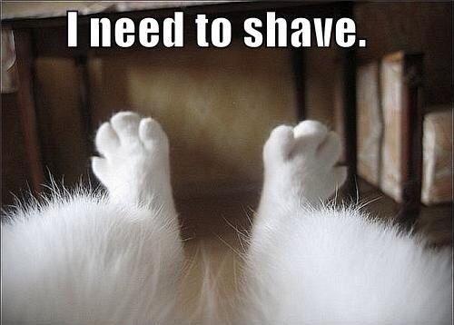 I need to shave Picture Quote #1
